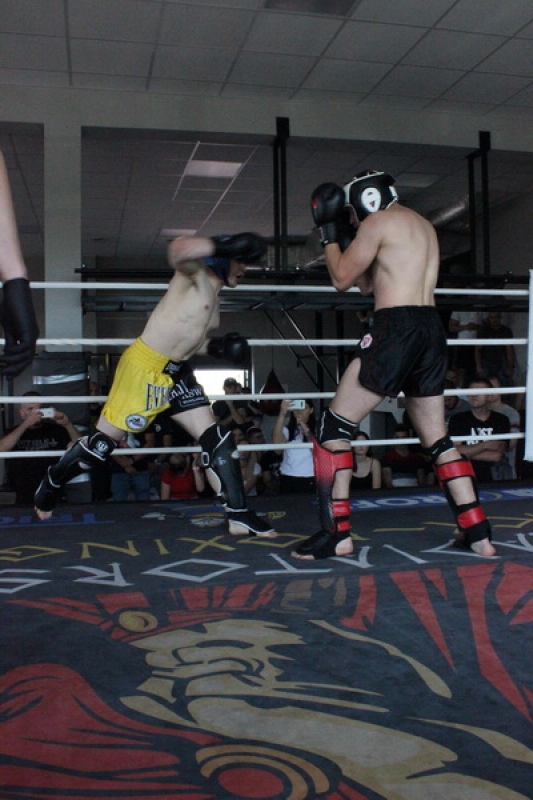 IMG_2338_resize