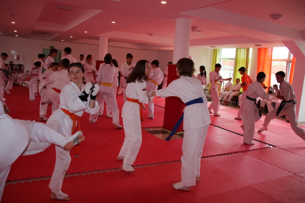 IMG_7302_resize